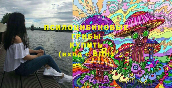 гидропоника Покачи
