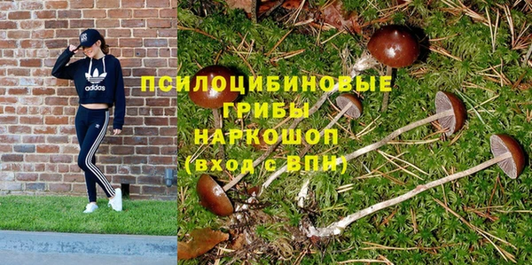 гидропоника Покачи